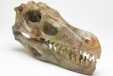 Carved Pietersite Dinosaur Skull #208835-4